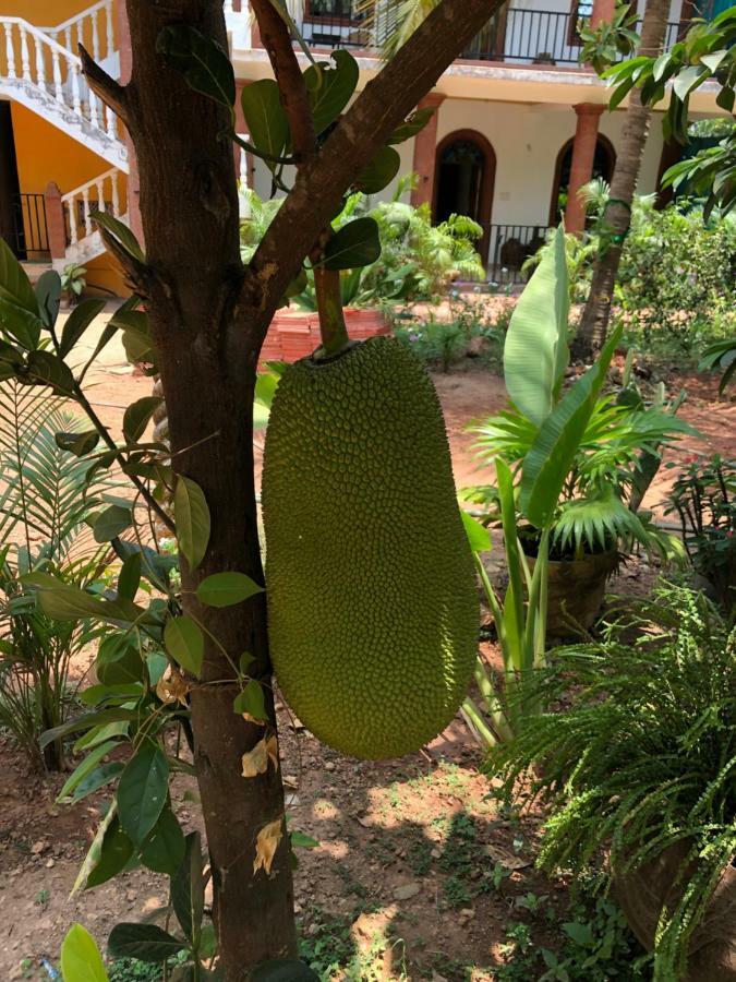 Kaza A Le Pearl Resort Anjuna Buitenkant foto