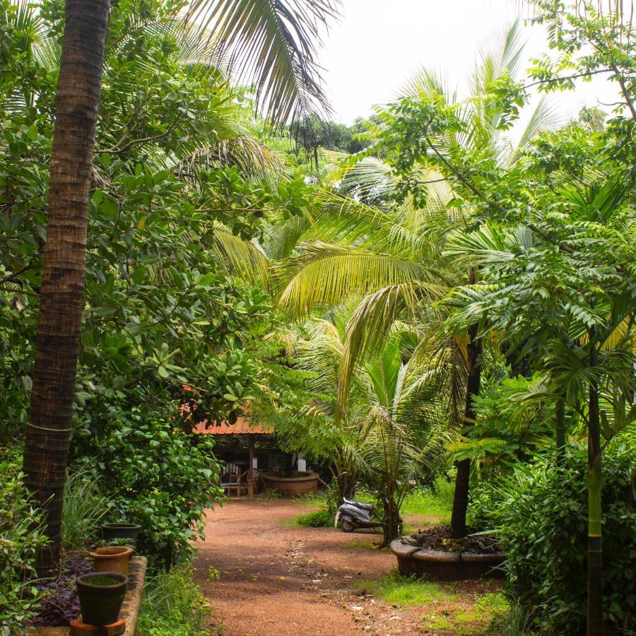 Kaza A Le Pearl Resort Anjuna Buitenkant foto